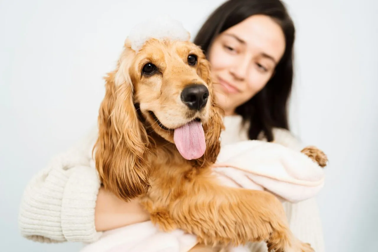 chien dans les bras